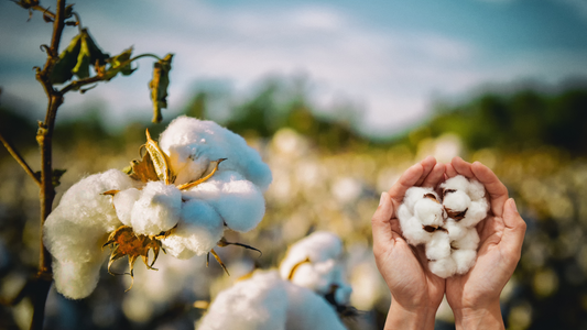 Why I Choose Pure Cotton for My Child — And You Might Want To As Well