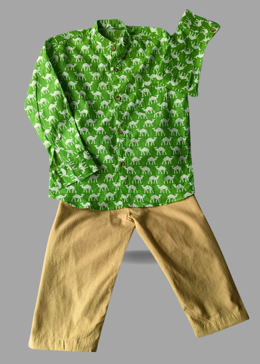 Ethnic green shirt with bottoms