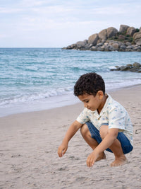 Boys Pure cotton Aeroplant Shirt -Half sleeve