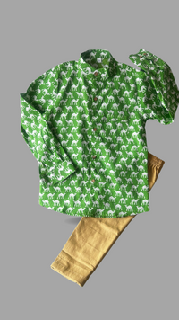 Ethnic green shirt with bottoms