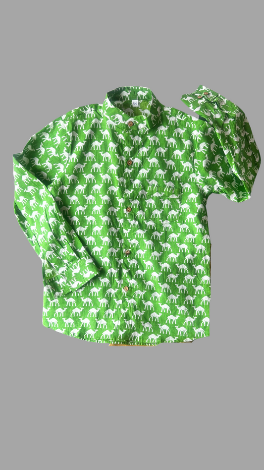 Ethnic Boys Shirt