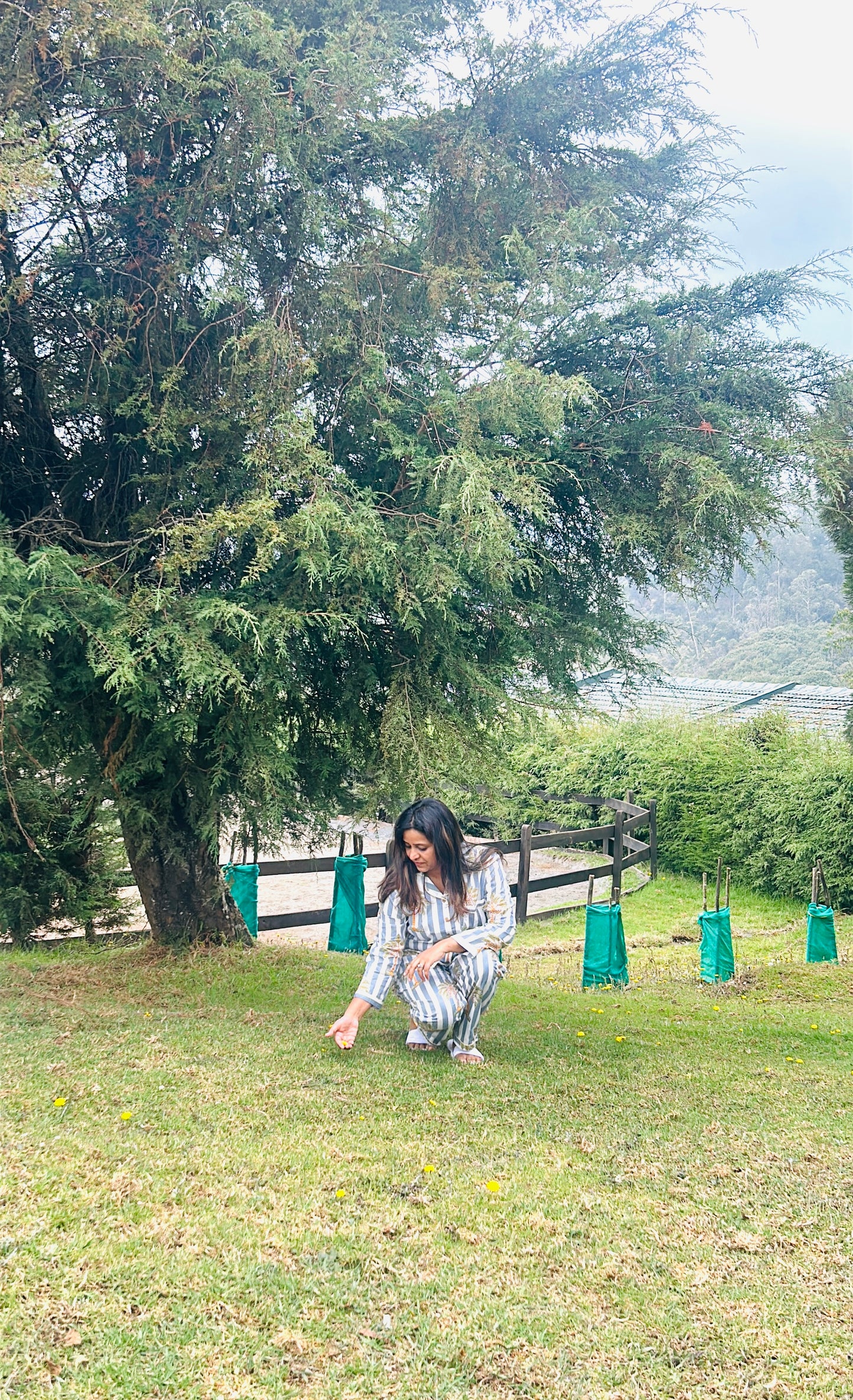 Grey Palm coast Cotton Nightwear for Women – Relaxed Fit Pajama Set