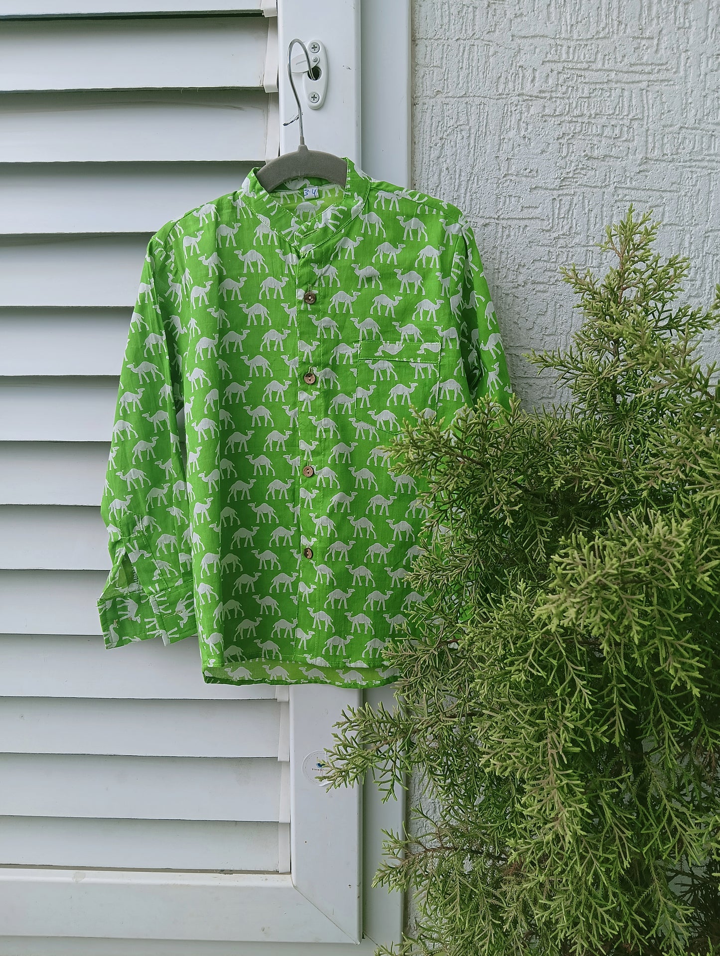 Boys Pure Cotton Shirt Green